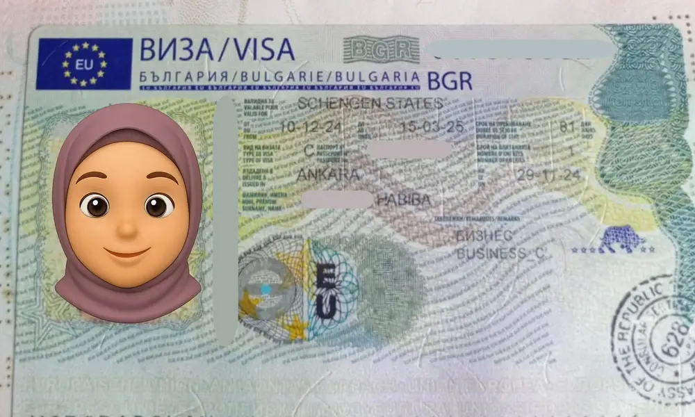 Visa Card 42