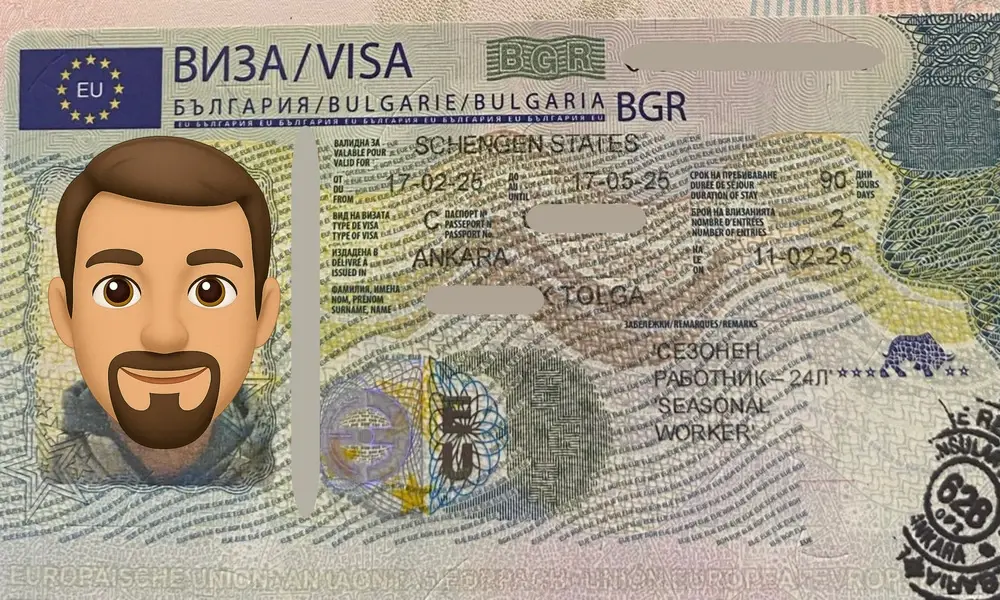 Visa Card 20